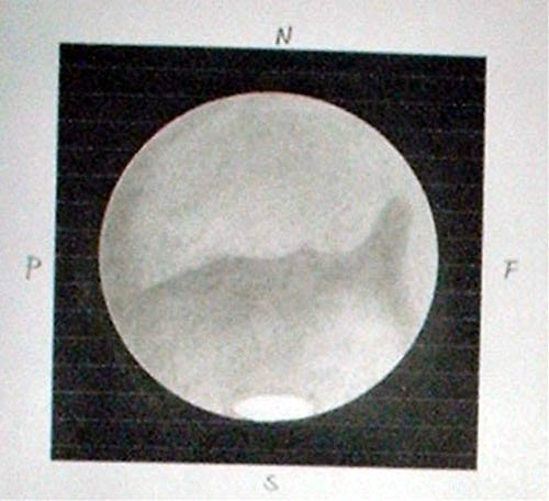 mars29juli2003.jpg
